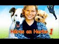 Hros en herbe 1  films jeunesse en franais