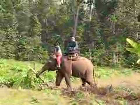 Patrick's elephant ride in Thailand Mae Hong Son