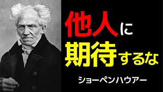 【なーさん様】ショーペンハウアー 　+　他性と超越 他性と超越〈新装版〉 (叢書・ウニベルシタス 711