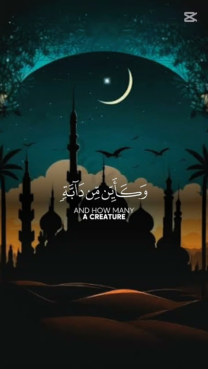 verses of the Quran😌 #shorts#video #islamic #quran
