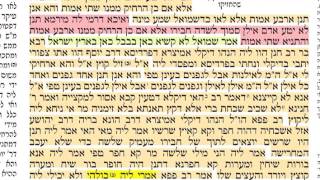 מסכת בבא בתרא דף  כ״ו 26