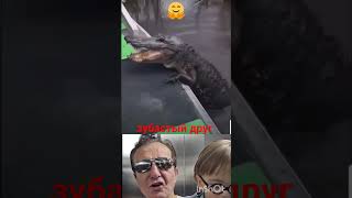 крокодил и ласка 🐊 #animals #humor #like #игры #рекомендации #юмор #люди #любовь #shortvideo  #viral