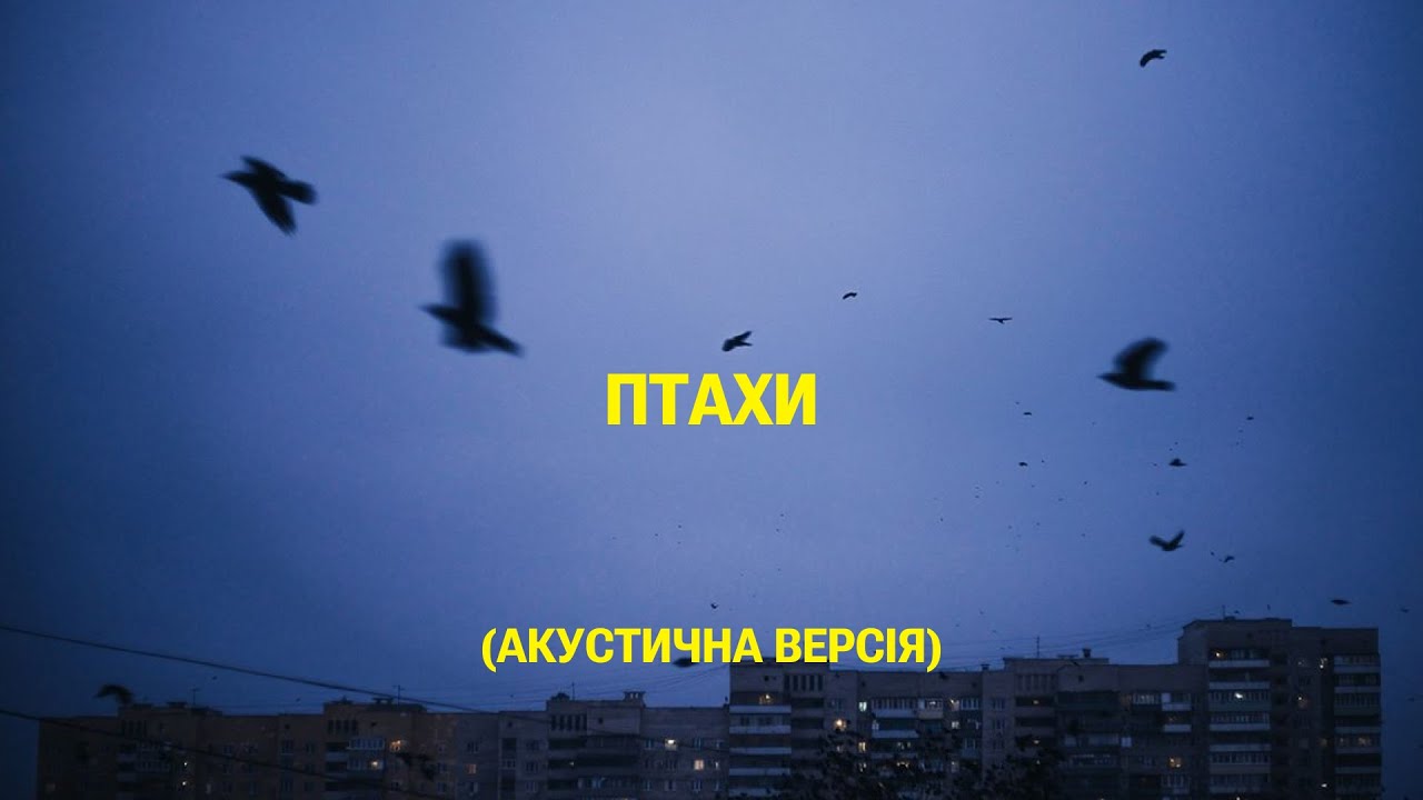 SUDNO - ПТАХИ (АКУСТИЧНА ВЕРСІЯ) | POST PUNK | DOOMER MUSIC