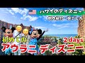 【ハワイのディズニー徹底紹介】キャラグリ攻略・館内・グッズ紹介｜アウラニディズニーの楽しみ方｜ハワイvlog