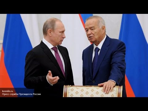 Последние новости волновахи за последний час