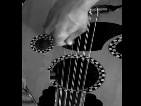 يا شارع الغالي 