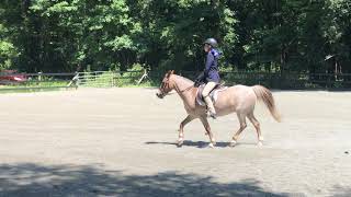 Kristen Harrison And Crf Teddy In Junior Pony Equitation On 7182020