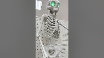Target Skeleton Animatronic Demo! #target  #halloween  #animatronics