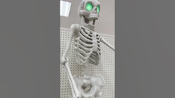 Target Skeleton Animatronic Demo! #target  #halloween  #animatronics