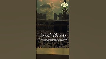 قَدْ خَسِرَ الَّذِينَ كَذَّبُوا بِلِقَاءِ اللَّهِ ۖ #ياسر_الدوسري #تلاوات_خاشعة #quran #اكسبلور