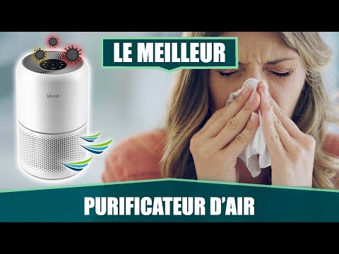 LE MEILLEUR PURIFICATEUR D'AIR - LEVOIT 