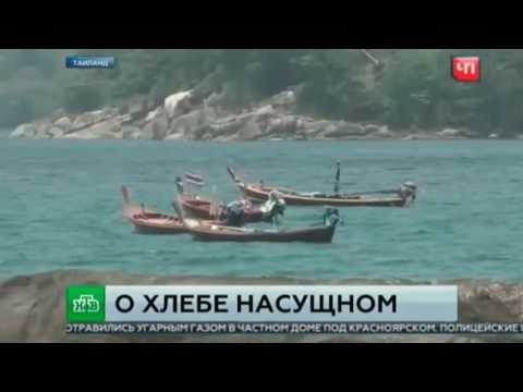 Покормила рыбок хлебом в Таиланде