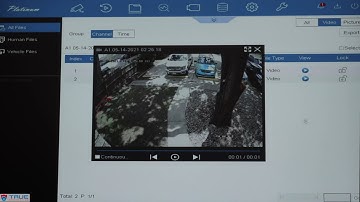 True Protection: LTS DVR Footage Playback and Export