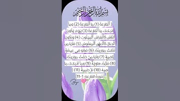 سورة القارعة🌸 #egzonibrahimi #quran #دعاء #اكسبلور #تيك_توك #ترند #shortvideo #قران_كريم