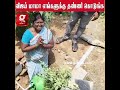 💦விஜய் மாமா...தண்ணீர் வரமாட்டீங்குது... பள்ளத்துல இறங்கி எடுக்குறோம்..