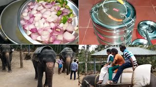 Vlog/1 Day Trip to Thekady/Food preparation for Picnic/Jolly time with my family