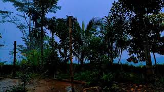 This Rain Sound Will Help You Sleep Deeply and Dream Beautifully