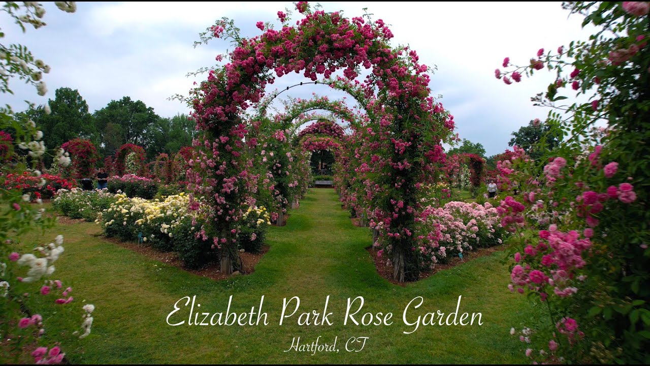 Zephyr Aerials Elizabeth Park Rose Garden Hartford, CT YouTube
