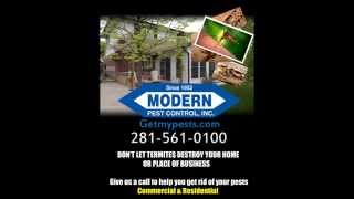 Modern Pest Control in Katy Texas