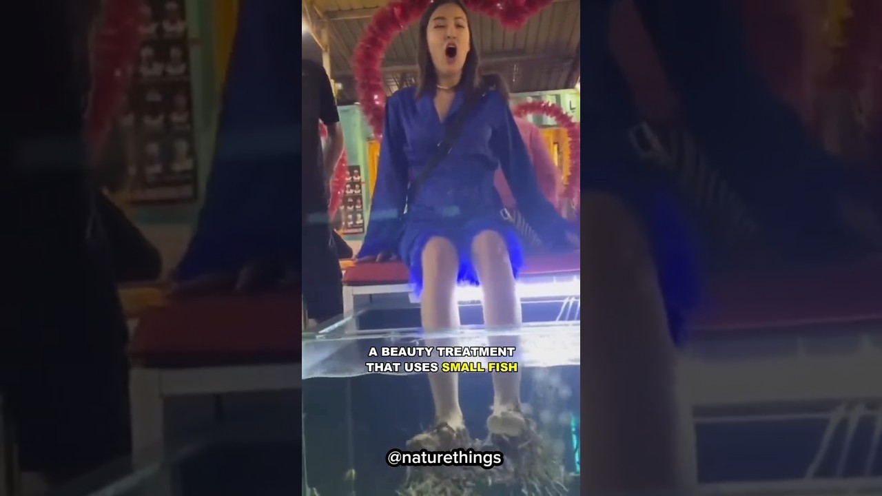 The Danger of Fish Spa 😱