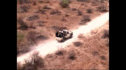 Game Capture of African Buffalo by darting from helicopter