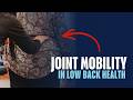 The Role of Joint mobility in low back health | The Stretch Method Explained!