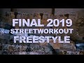 FINAL CAMPEONATO DE ESPAÑA STREET WORKOUT Y CALISTENIA FESWC 2019