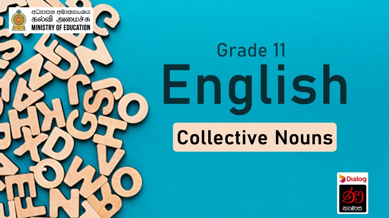 Grade R P Collective Nouns | English | Grade 11 - YouTube