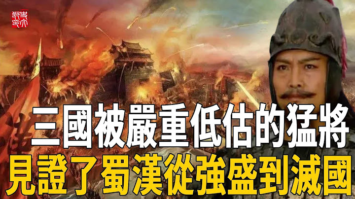 三國被嚴重低估的猛將！蜀漢建立時，他是將軍，蜀漢滅亡時，他依然還活著 - 天天要聞