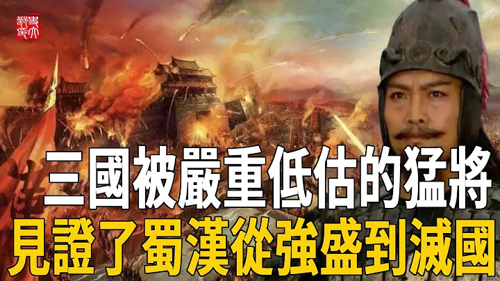 三国被严重低估的猛将！蜀汉建立时，他是将军，蜀汉灭亡时，他依然还活着 - 天天要闻