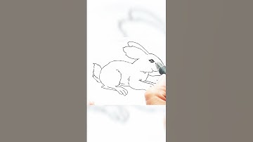 Bunny Rabbit drawing|How to draw a Rabbit Easy|Step By Step For Beginners BunnyArt|#shorts #rabbit
