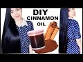 DIY Cinnamon Oil for Hair Growth- Hair Loss-Dandruff & Healthy Scalp- Beautyklove