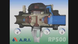 HOW DOES THE BFP WORK