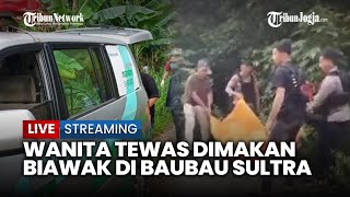 🔴 TERUNGKAP SOSOK WANITA TEWAS MEMBUSUK DI BAUBAU,JASAD PENUH LUKA DAN BEKAS GIGITAN BIAWAK