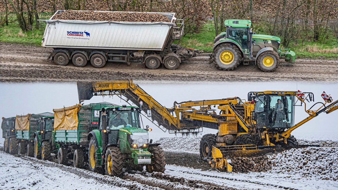 Sugar Beet Transport in MUD and SNOW 10x John Deere