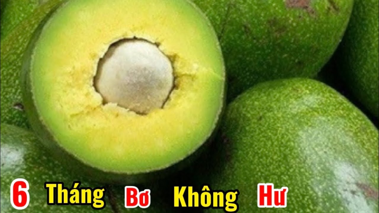 4 СПОСОБА СОХРАНИТЬ АВОКАДО В ТЕЧЕНИЕ 6 МЕСЯЦЕВ БЕЗ ПОТЕРЕНИЯ И ОПАСНОСТИ. УПОТРЕБЛЯЙТЕ СВЕЖИЙ АВ...