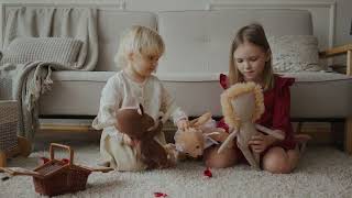 Rug'N Roll Rugs Reel and Online Shopping