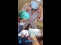 Hair transplant procedure turkey  dr bayer clinics