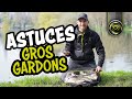 Pche de gros gardons  la canne  coup avec thomas mille  trucs  astuces  matrix fishing tv fr