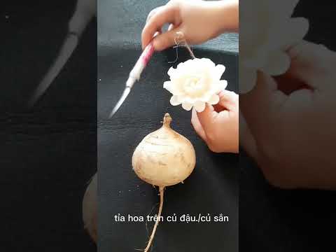 Video Học cắt tỉa củ quả, tỉa hoa củ đậu #shorts - youtube