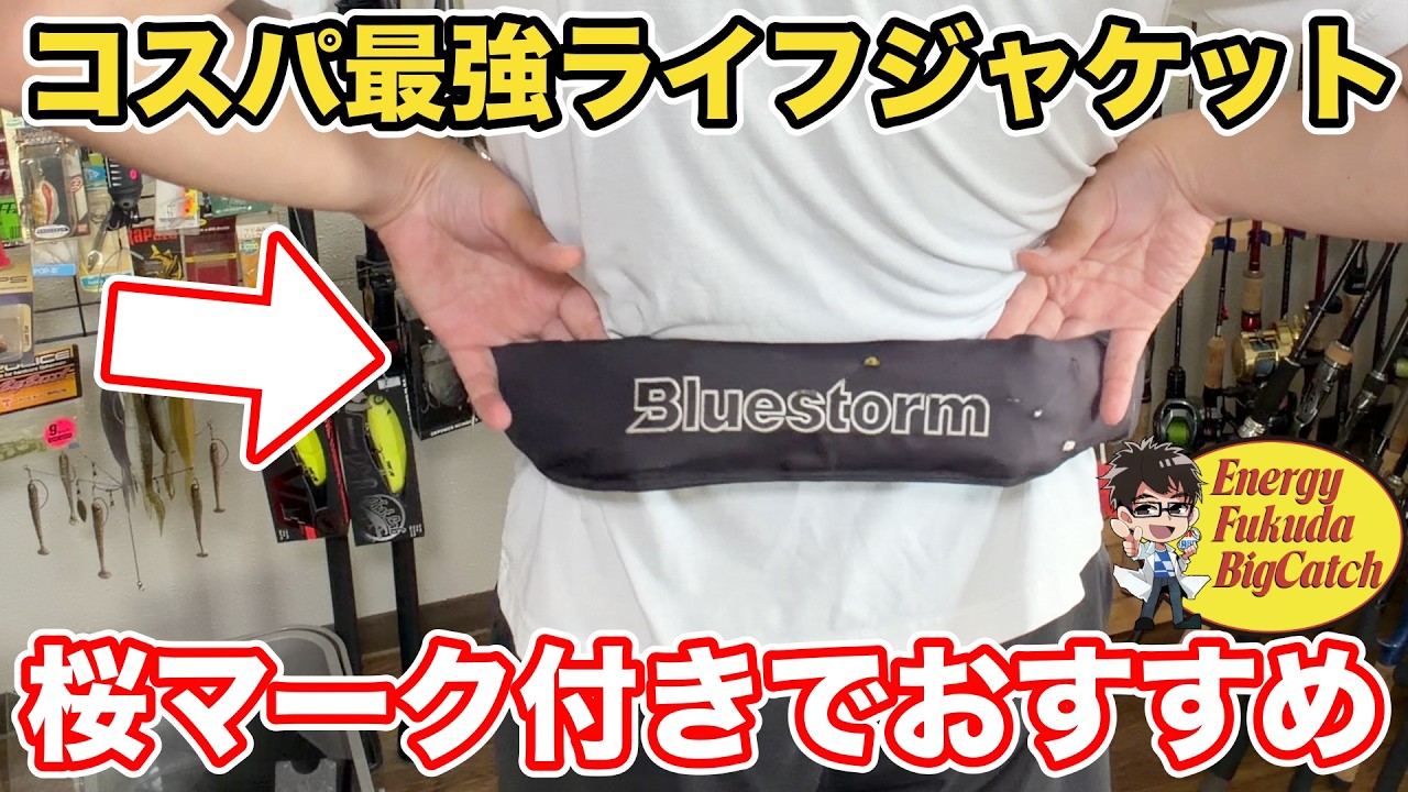 The Best Value Life Jacket with a Sakura Mark Under $100
