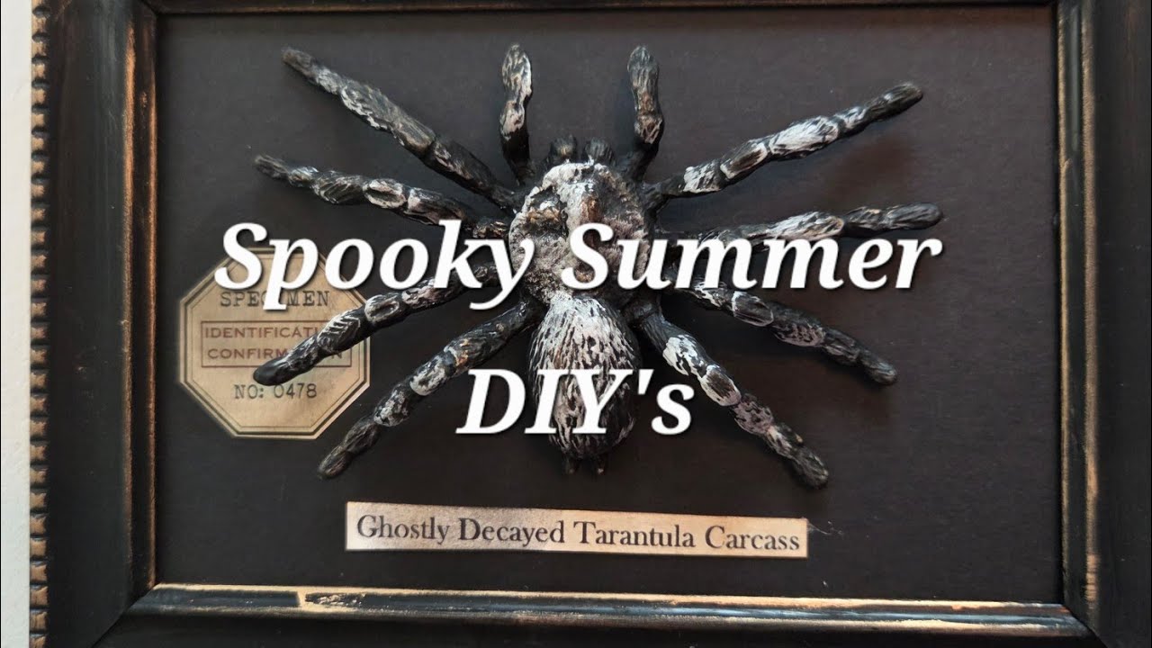 Decayed Bug Summer Sea Fans and Spooky Decayed Bugs DIY's - YouTube