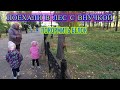 ПОЕХАЛИ В ЛЕС С ВНУЧКОЙ. ПОКОРМИТЬ БЕЛОК.