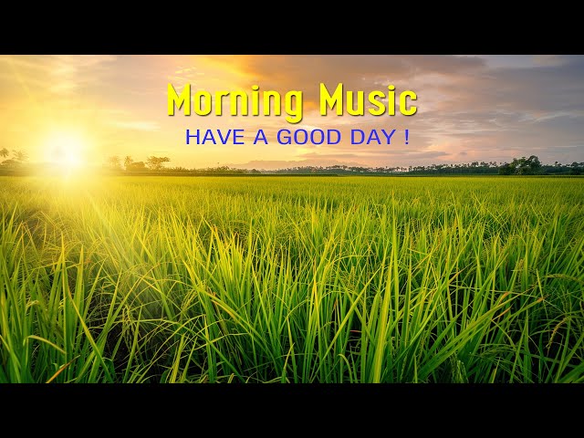 BEAUTIFUL MORNING MUSIC - Happy u0026 Positive Energy - Music When You Want To Feel Motivated, Relaxed class=