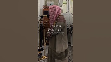 الوليد الشمسان سورة الحجرات