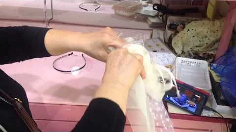 Getting Ready for the Hat & Tea Party