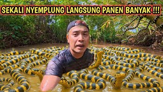 Download Lagu \ MP3 Download Lagu \ MP3