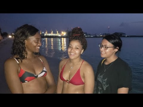 Video: Baumwollpflanze Auf Barbados