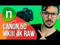 Canon 5d Mark Iii 4k Raw
