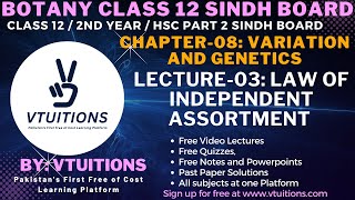 Law of Independent Assortment | Chapter-08: Variation and Genetics | Botany Class 12 Sindh Board